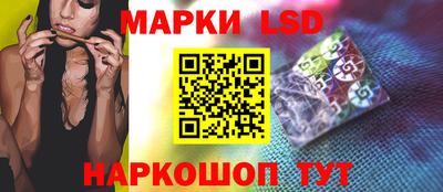 стафф Новозыбков