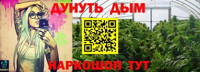 трава Новодвинск