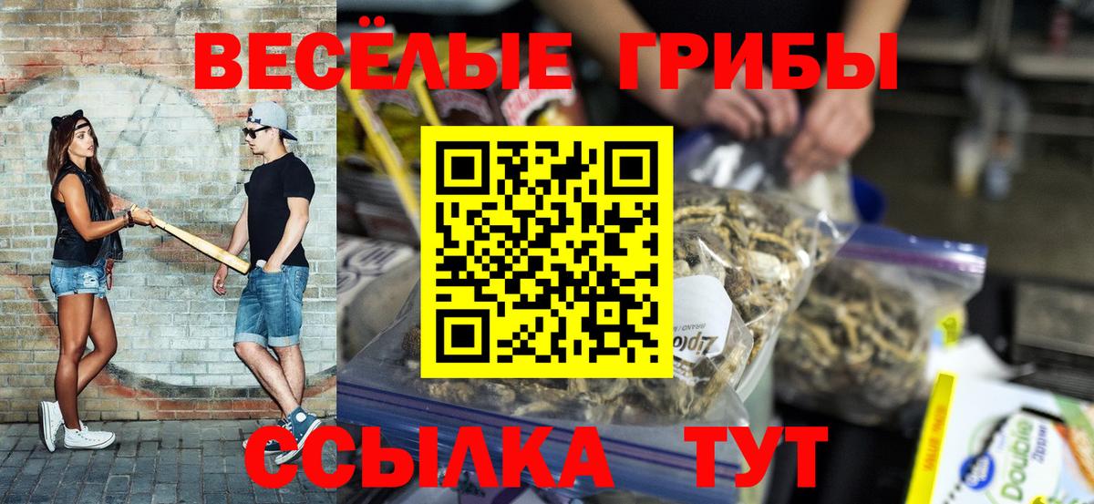 Галлюциногенные грибы Psilocybine cubensis  Псилоцибиновые грибы ЛСД  Вход с VPN  Сургут 